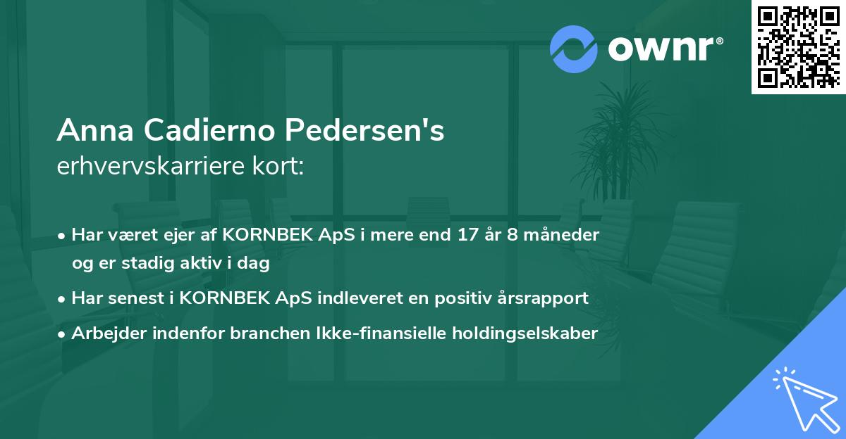 Anna Cadierno Pedersen's erhvervskarriere kort