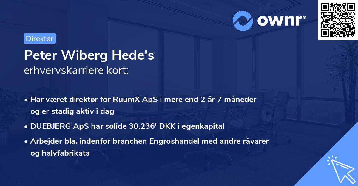 Peter Wiberg Hede's erhvervskarriere kort
