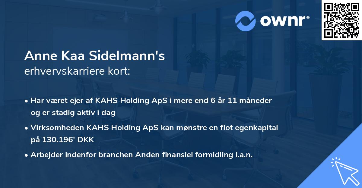 Anne Kaa Sidelmann's erhvervskarriere kort