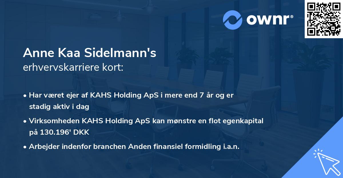 Anne Kaa Sidelmann's erhvervskarriere kort