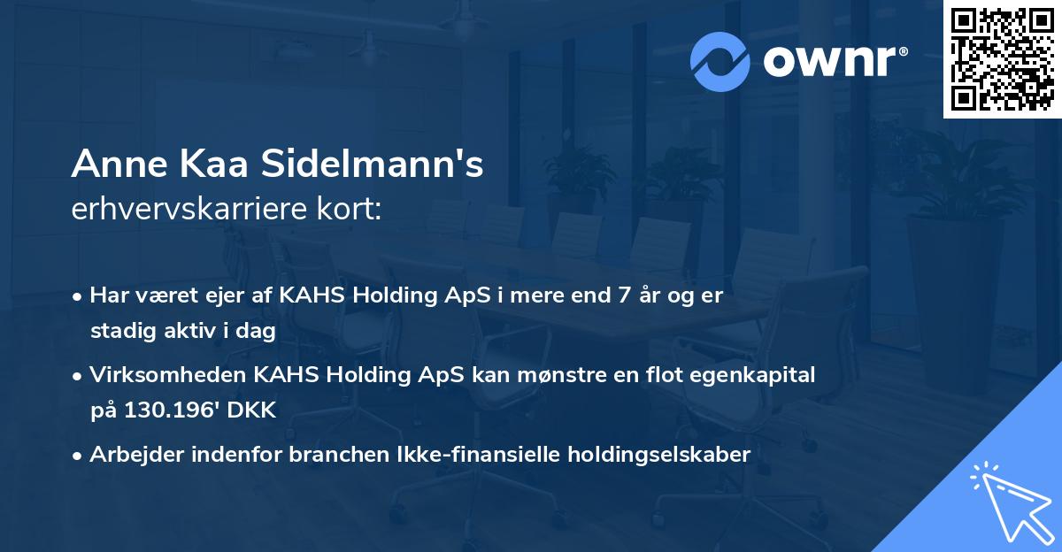 Anne Kaa Sidelmann's erhvervskarriere kort