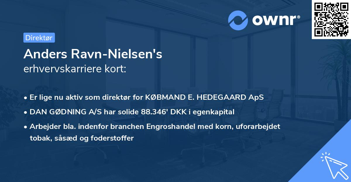 Anders Ravn-Nielsen's erhvervskarriere kort