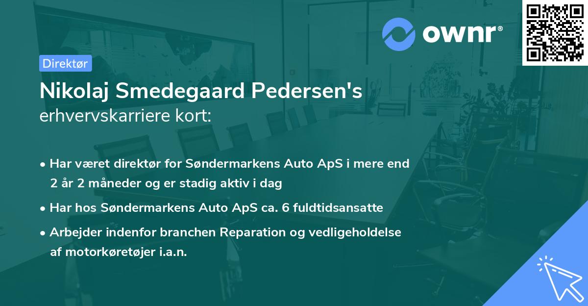 Nikolaj Smedegaard Pedersen's erhvervskarriere kort