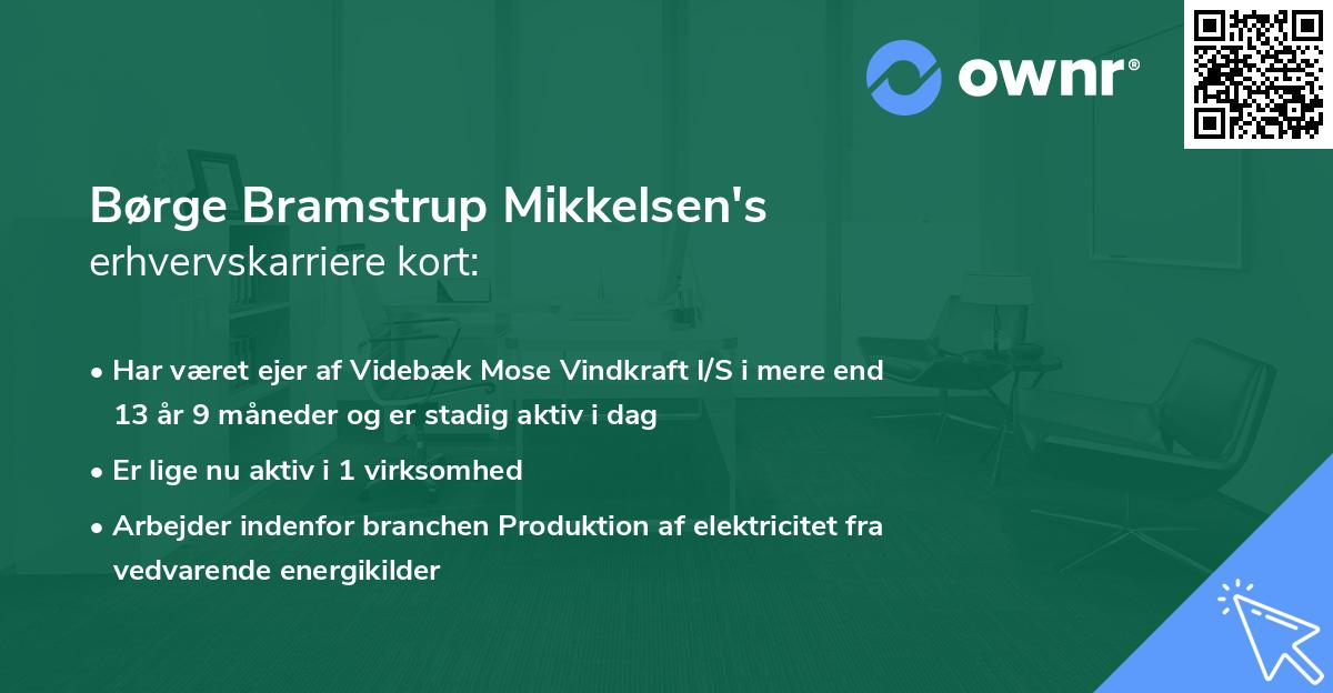 Børge Bramstrup Mikkelsen's erhvervskarriere kort