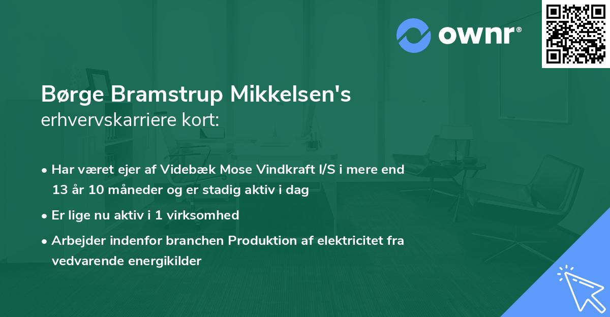 Børge Bramstrup Mikkelsen's erhvervskarriere kort