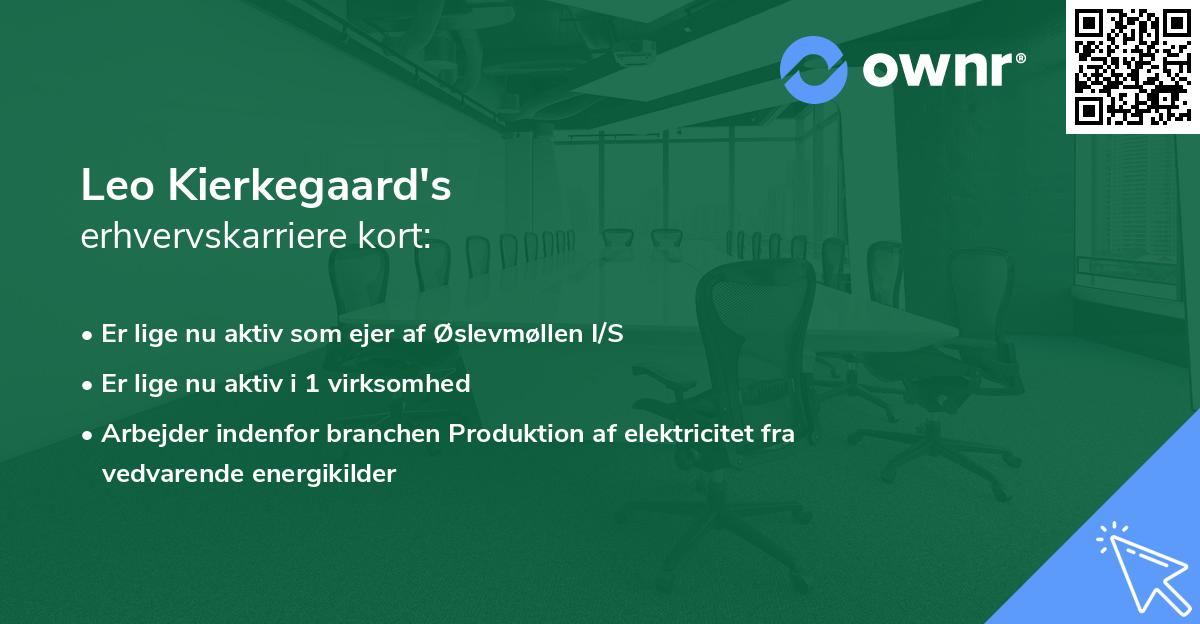 Leo Kierkegaard's erhvervskarriere kort