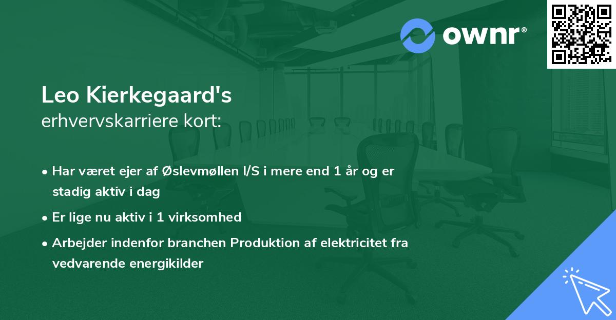 Leo Kierkegaard's erhvervskarriere kort