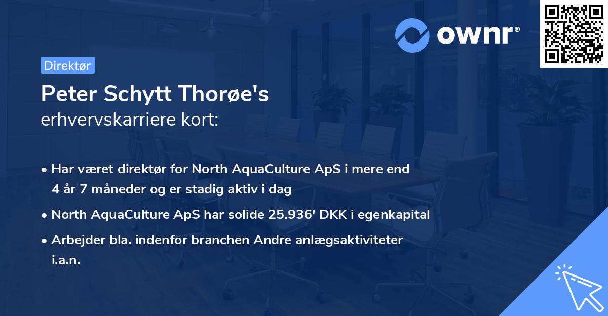 Peter Schytt Thorøe's erhvervskarriere kort