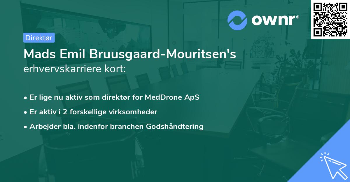 Mads Emil Bruusgaard-Mouritsen's erhvervskarriere kort