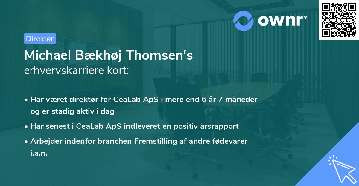 Michael Bækhøj Thomsen's erhvervskarriere kort