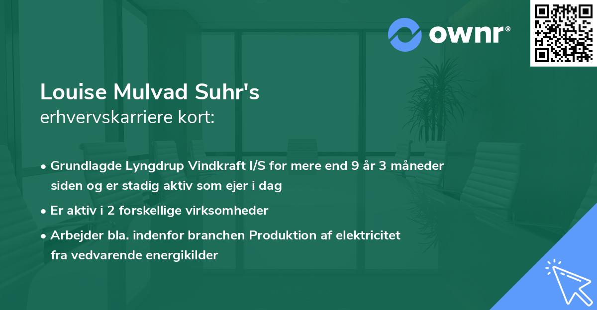 Louise Mulvad Suhr's erhvervskarriere kort