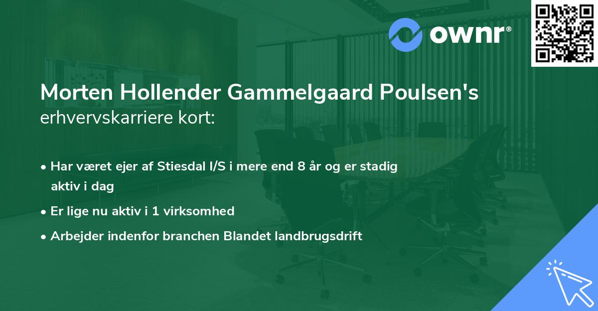 Morten Hollender Gammelgaard Poulsen's erhvervskarriere kort