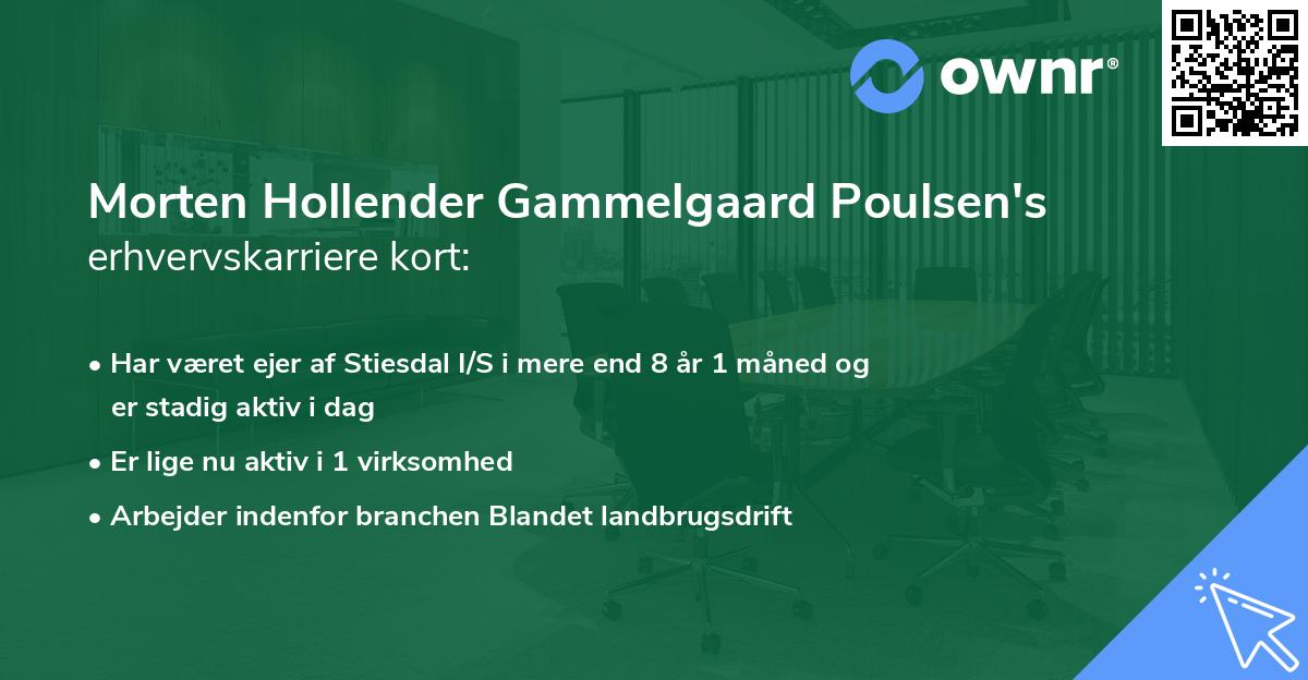 Morten Hollender Gammelgaard Poulsen's erhvervskarriere kort