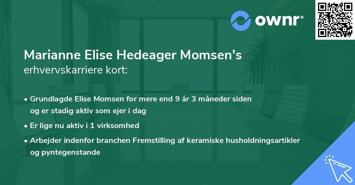 Marianne Elise Hedeager Momsen's erhvervskarriere kort