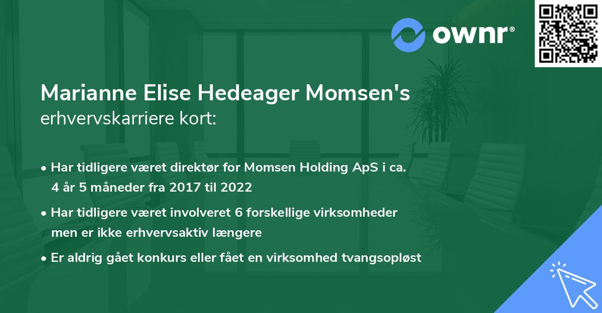 Marianne Elise Hedeager Momsen's erhvervskarriere kort