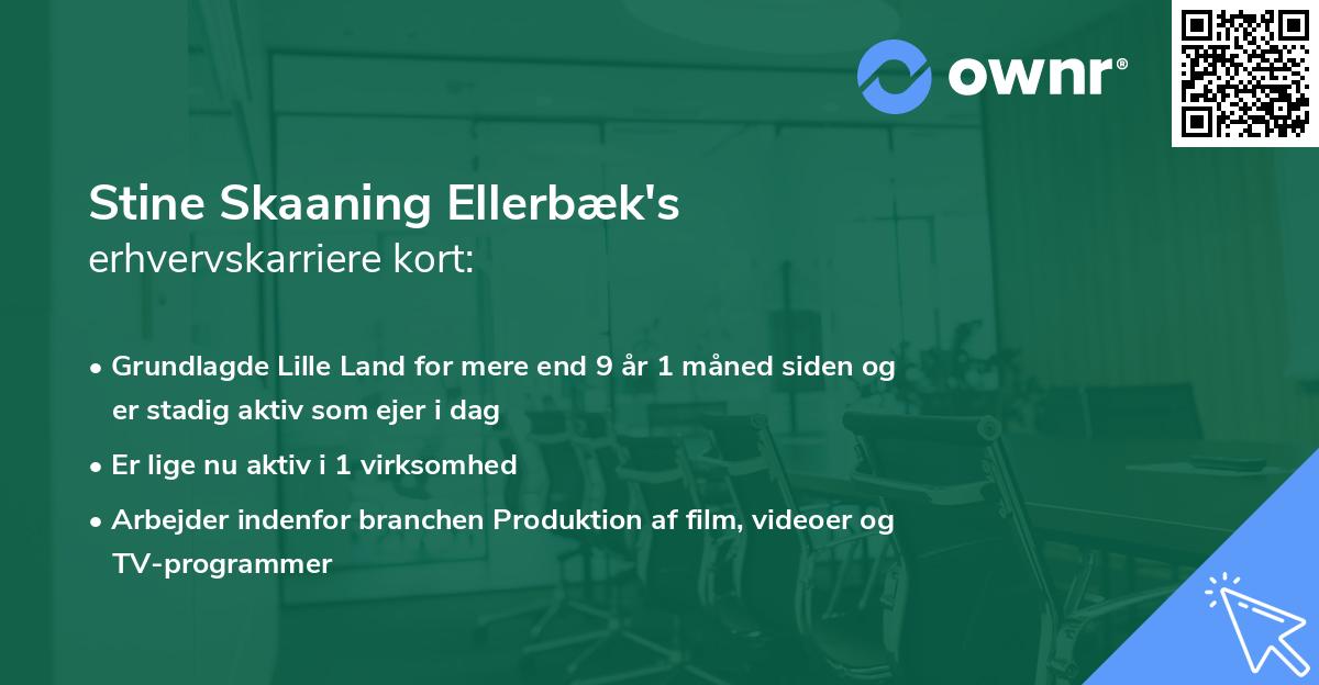 Stine Skaaning Ellerbæk's erhvervskarriere kort
