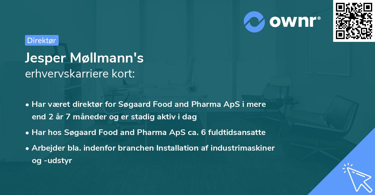 Jesper Møllmann's erhvervskarriere kort