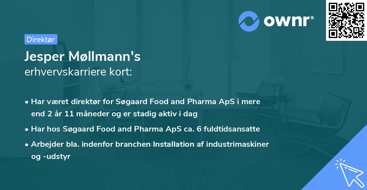 Jesper Møllmann's erhvervskarriere kort