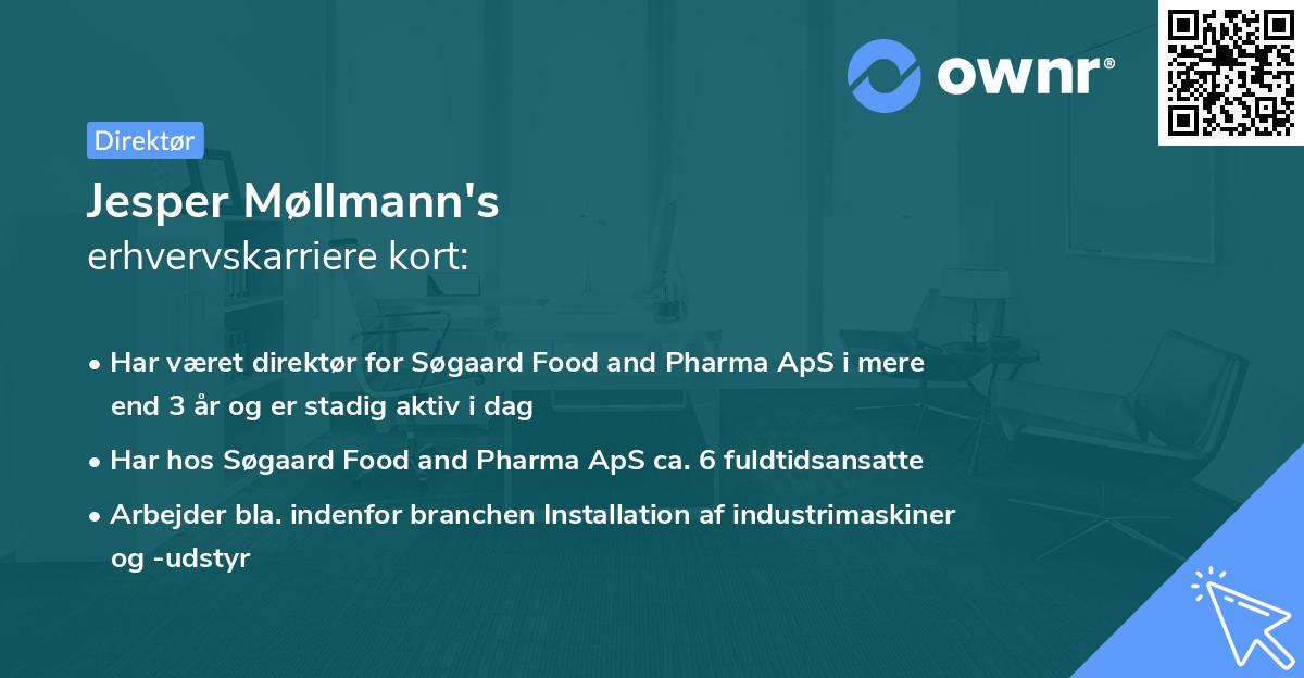 Jesper Møllmann's erhvervskarriere kort