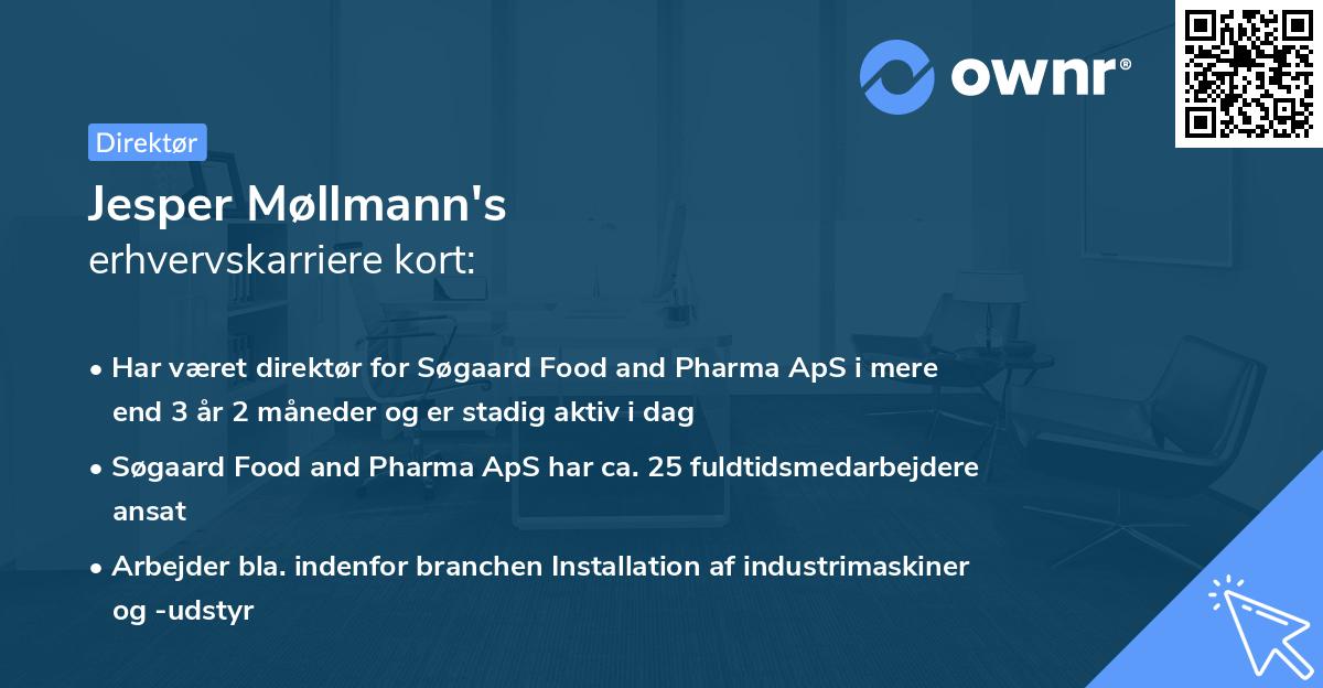 Jesper Møllmann's erhvervskarriere kort