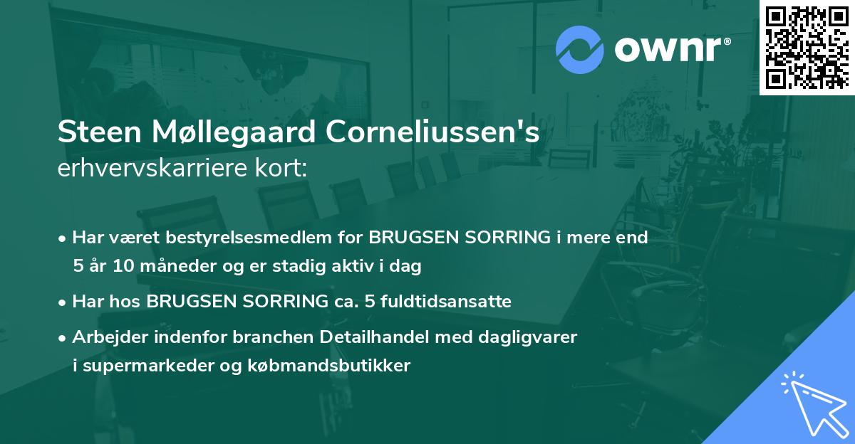 Steen Møllegaard Corneliussen's erhvervskarriere kort