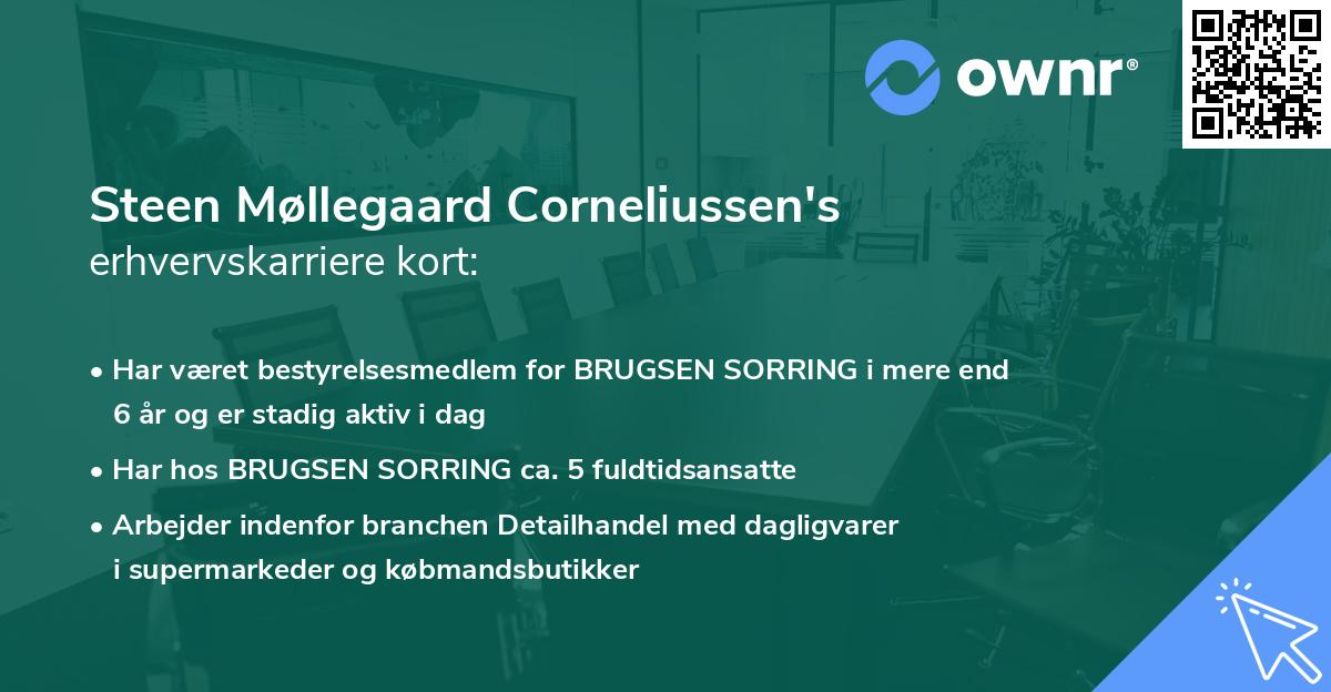 Steen Møllegaard Corneliussen's erhvervskarriere kort
