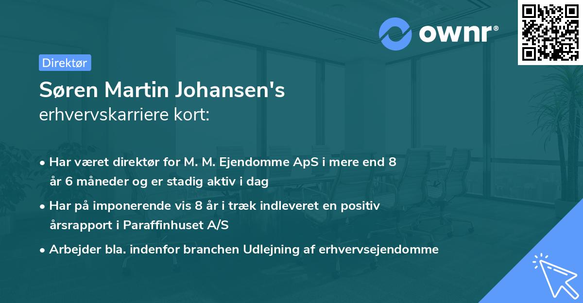 Søren Martin Johansen's erhvervskarriere kort