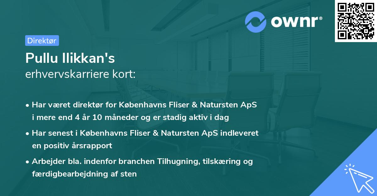 Pullu Ilikkan's erhvervskarriere kort