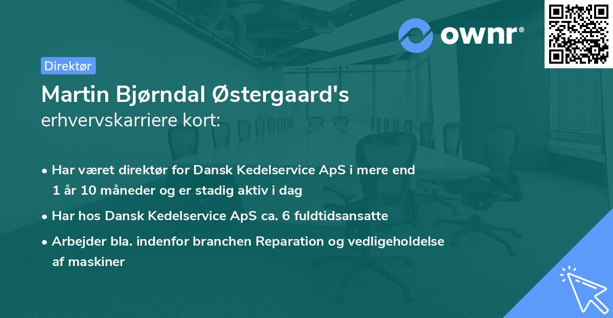 Martin Bjørndal Østergaard's erhvervskarriere kort