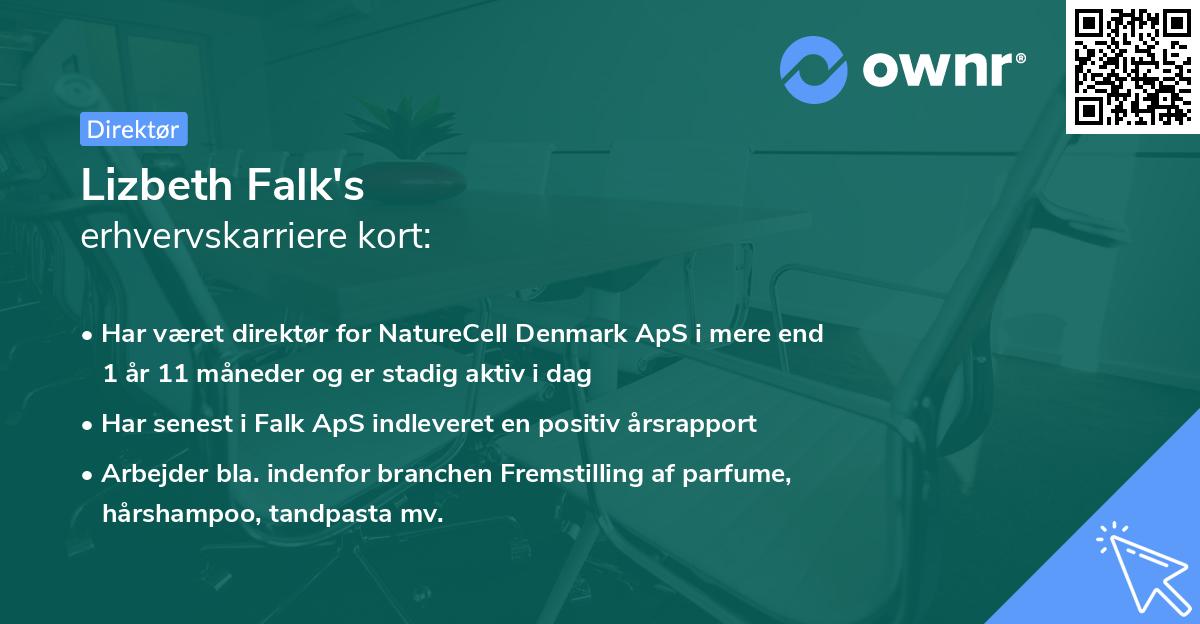 Lizbeth Falk's erhvervskarriere kort