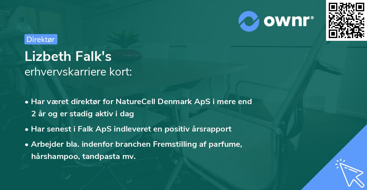 Lizbeth Falk's erhvervskarriere kort