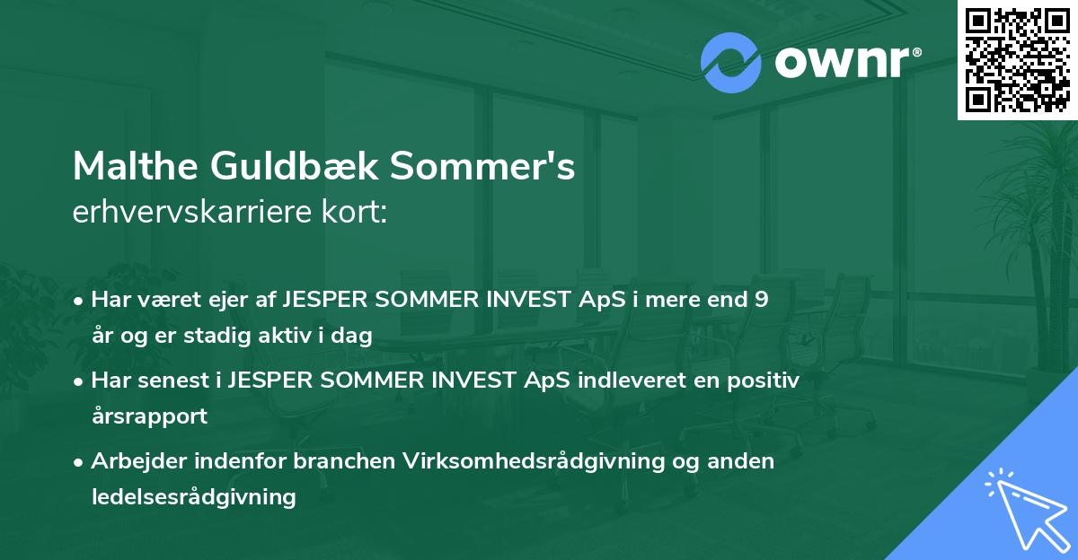 Malthe Guldbæk Sommer's erhvervskarriere kort