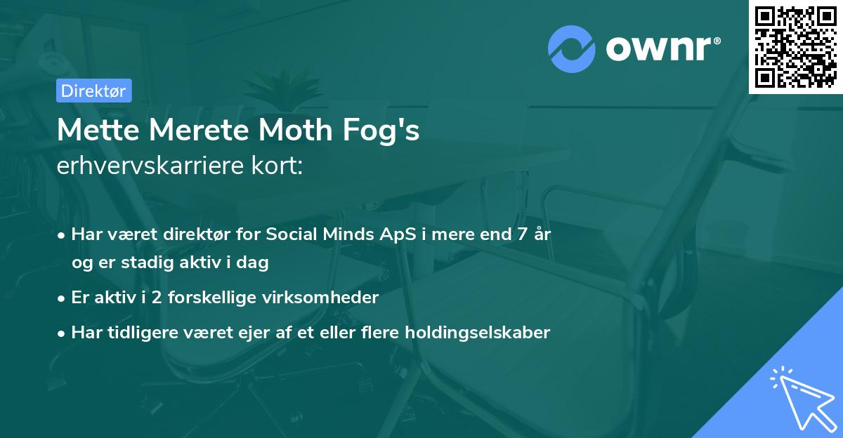 Mette Merete Moth Fog's erhvervskarriere kort