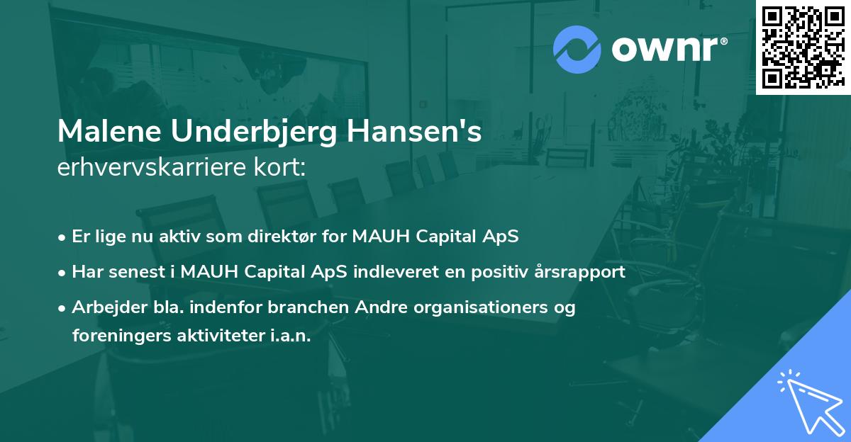 Malene Underbjerg Hansen's erhvervskarriere kort
