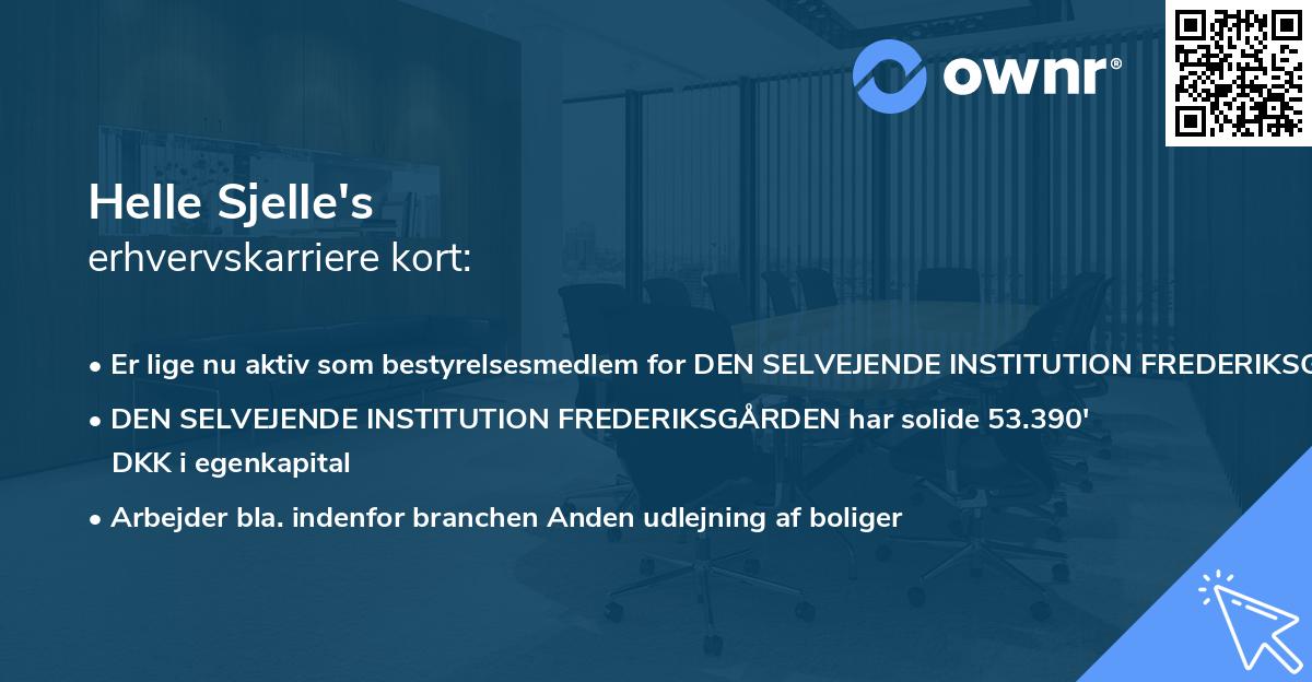 Helle Sjelle's erhvervskarriere kort