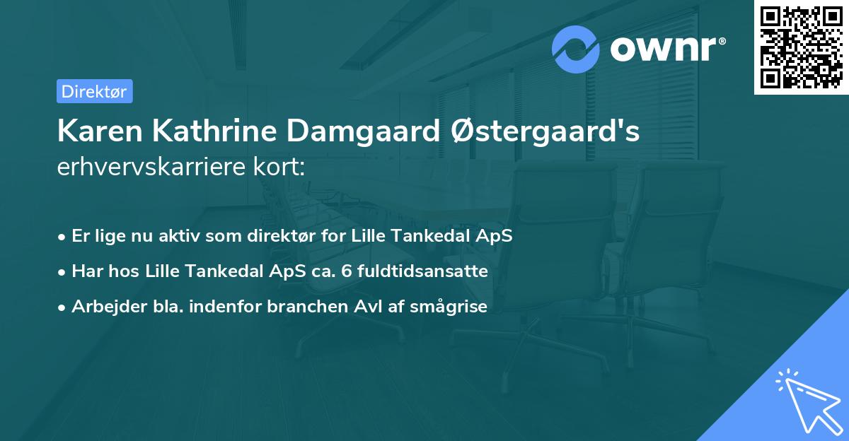 Karen Kathrine Damgaard Østergaard's erhvervskarriere kort