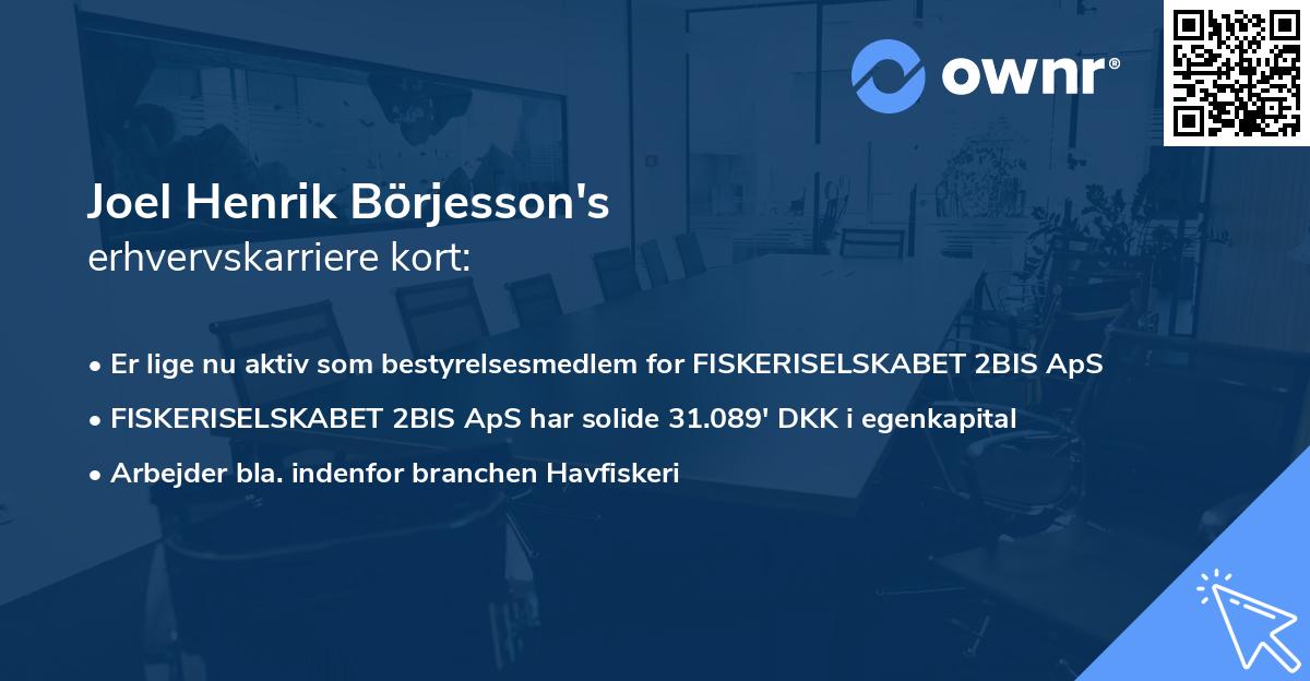 Joel Henrik Börjesson's erhvervskarriere kort