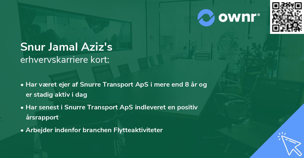 Snur Jamal Aziz's erhvervskarriere kort