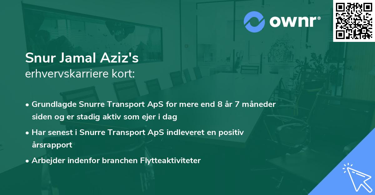 Snur Jamal Aziz's erhvervskarriere kort