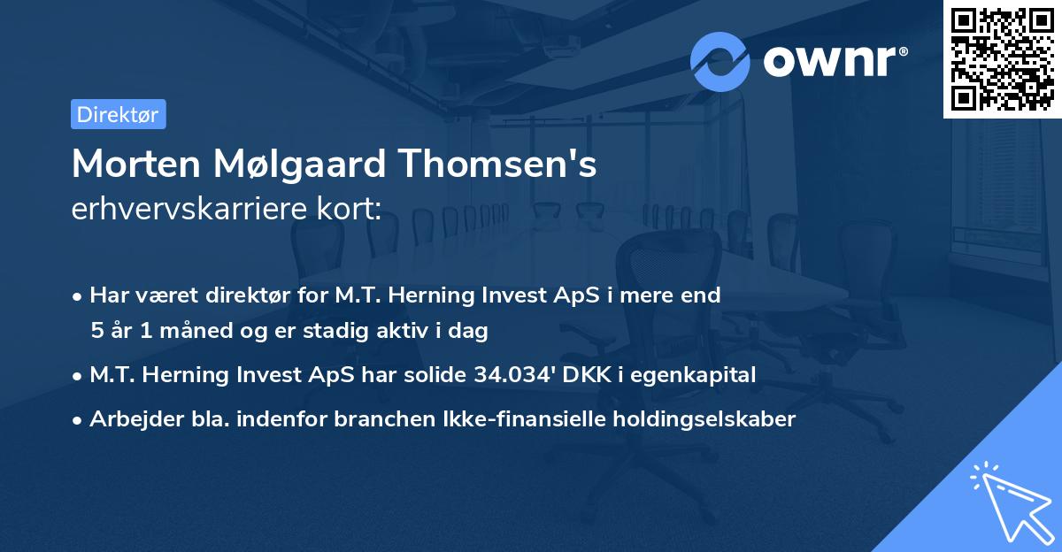 Morten Mølgaard Thomsen's erhvervskarriere kort