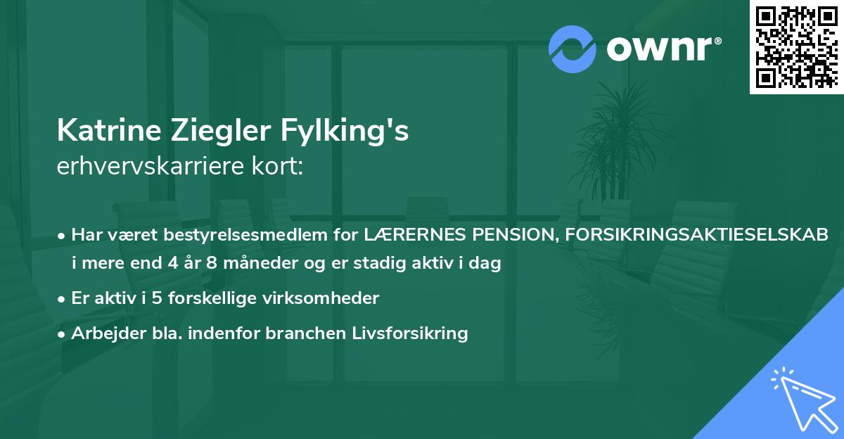 Katrine Ziegler Fylking's erhvervskarriere kort