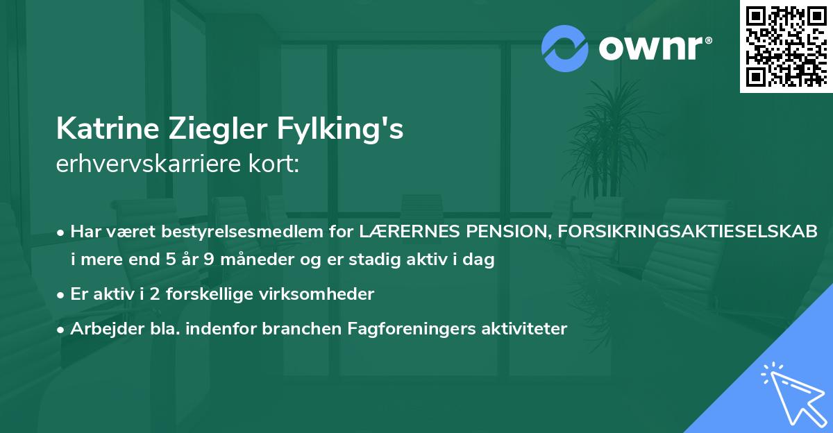 Katrine Ziegler Fylking's erhvervskarriere kort