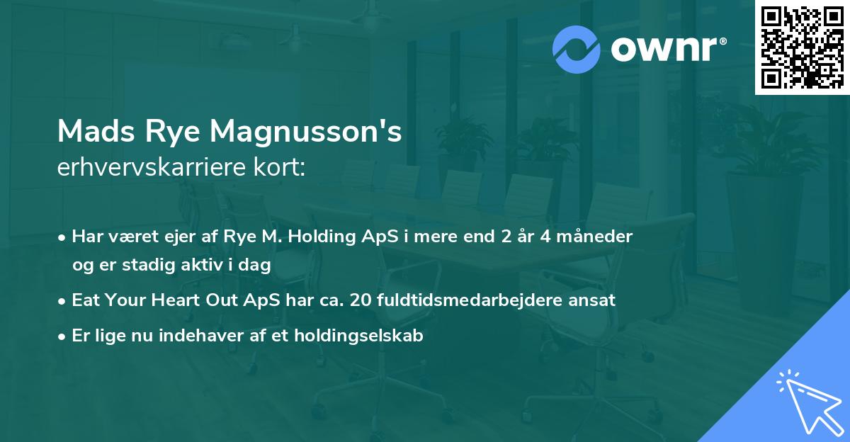 Mads Rye Magnusson's erhvervskarriere kort