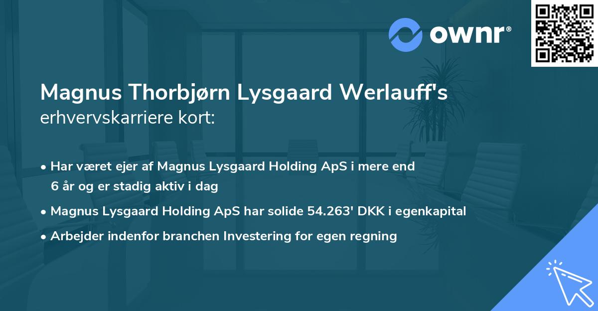 Magnus Thorbjørn Lysgaard Werlauff's erhvervskarriere kort