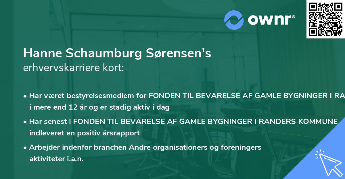 Hanne Schaumburg Sørensen's erhvervskarriere kort