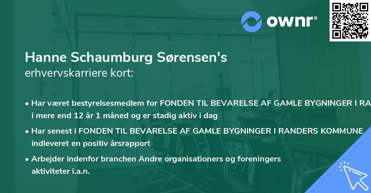 Hanne Schaumburg Sørensen's erhvervskarriere kort