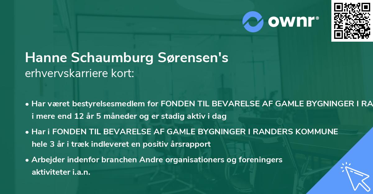 Hanne Schaumburg Sørensen's erhvervskarriere kort