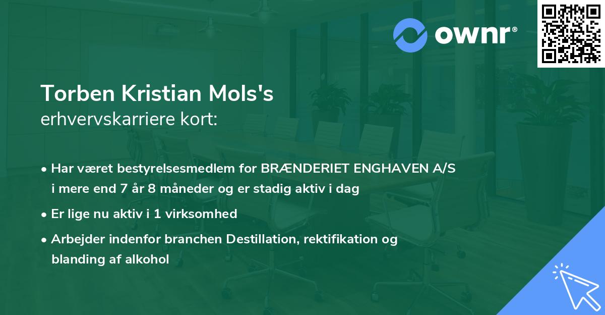 Torben Kristian Mols's erhvervskarriere kort