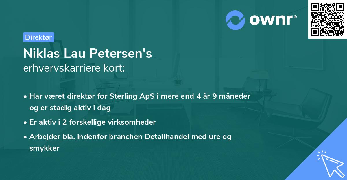 Niklas Lau Petersen's erhvervskarriere kort