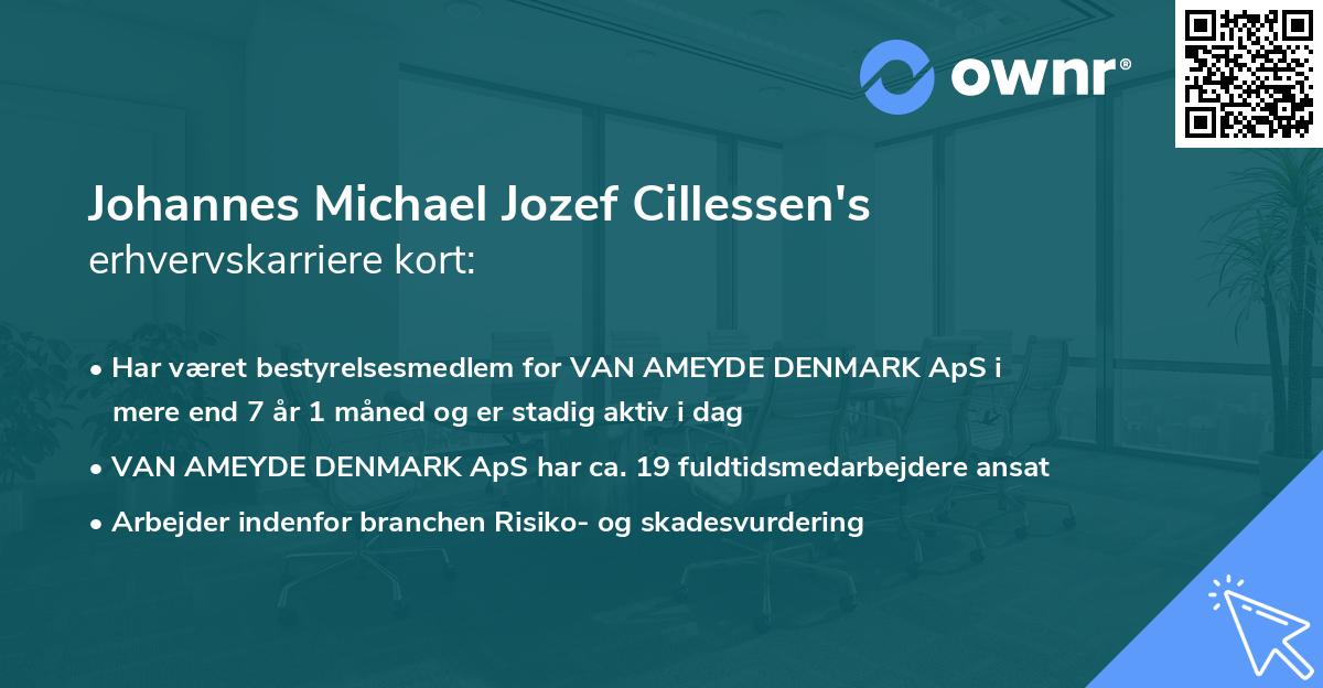 Johannes Michael Jozef Cillessen's erhvervskarriere kort